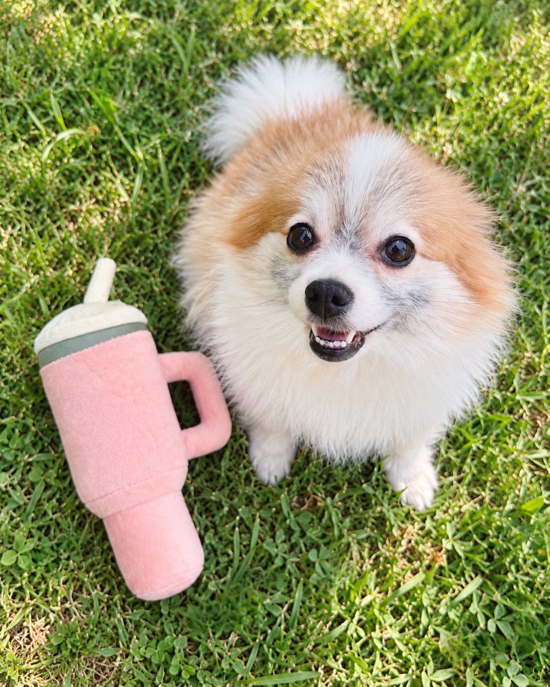 Stanley “Pup” Chew Toy