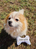 Haute Diggity Dog Chewy Vuitton Chew Toy